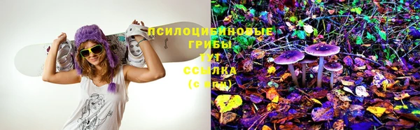 spice Арсеньев