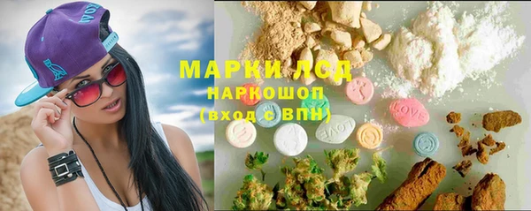 spice Арсеньев