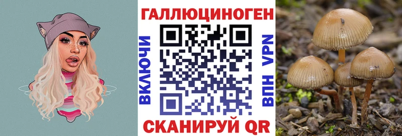 Псилоцибиновые грибы MAGIC MUSHROOMS Сусуман