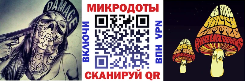 Галлюциногенные грибы Psilocybine cubensis  Купить где  Сусуман 
